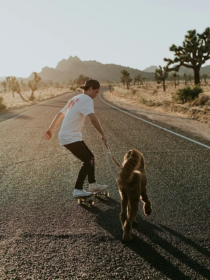 Mann auf dem Skateboard mit einem lockigen Hund an der Leine auf einer Wüstenstraße